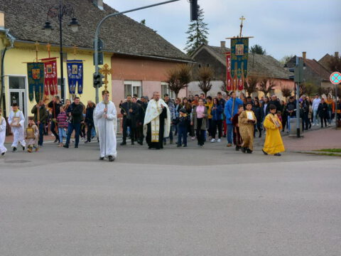 IMG-f6132472f87828e8f12a0bdd8d40160f-V_resize