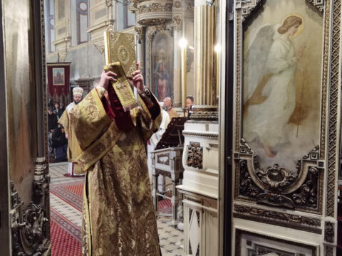 IMG_20230407_092217_resize