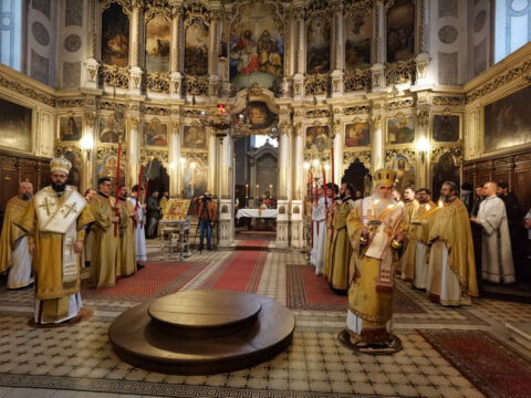 IMG_20230407_092422_resize