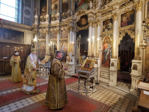 IMG_20230407_092651_resize