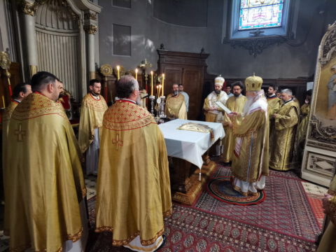 IMG_20230407_094139_resize