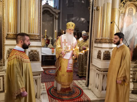 IMG_20230407_094339_resize