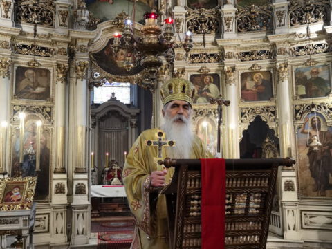 IMG_20230407_095558_resize