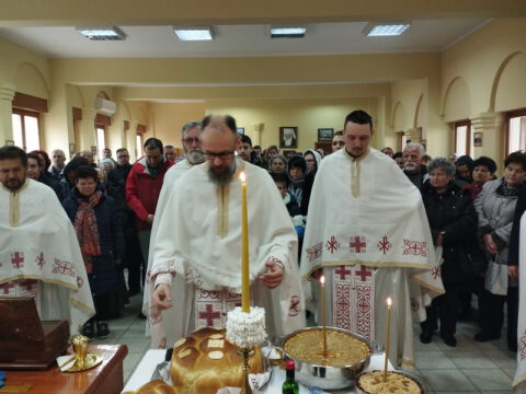 IMG_20230407_101537_resize