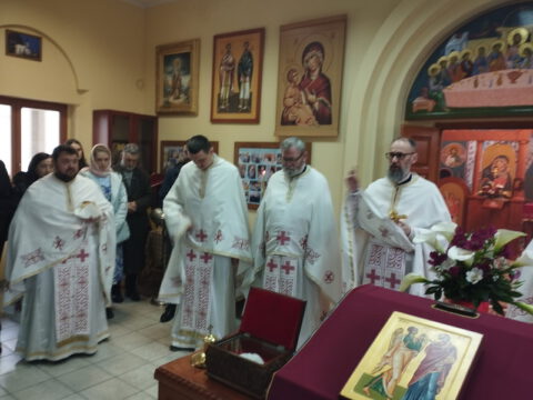 IMG_20230407_102001_resize