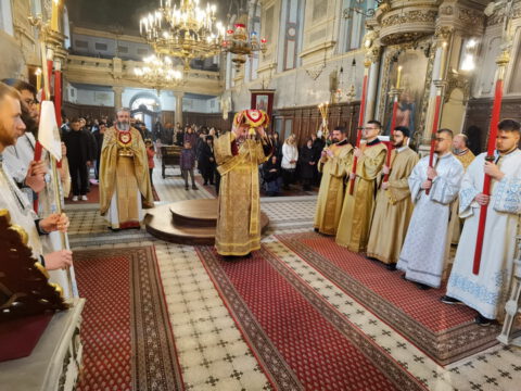 IMG_20230407_102649_resize