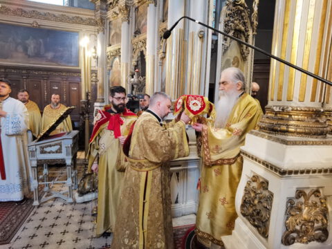 IMG_20230407_102704_resize