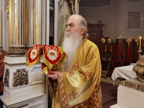 IMG_20230407_102726_resize