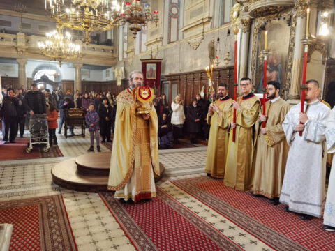 IMG_20230407_102748_resize