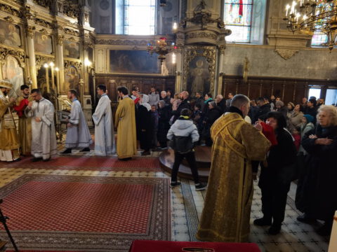 IMG_20230407_111106_resize