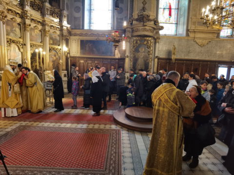 IMG_20230407_111124_resize