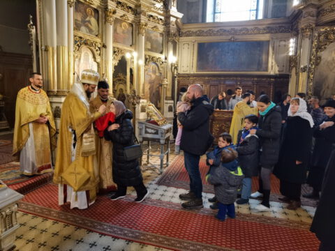 IMG_20230407_111153_resize