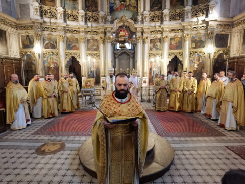 IMG_20230407_112235_resize