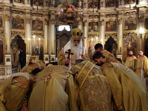 IMG_20230407_112344_resize