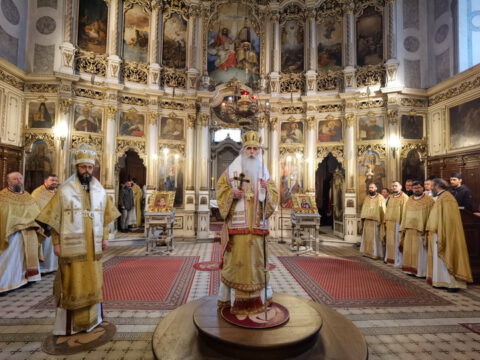 IMG_20230407_112441_resize