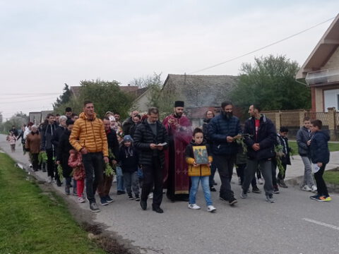 IMG_20230408_180832_resize