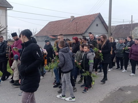 IMG_20230408_180951_resize