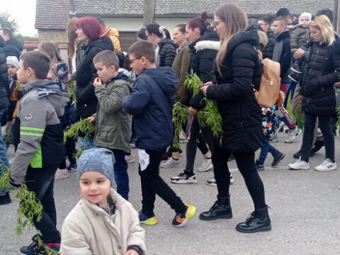 IMG_20230408_181106_resize