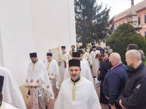 IMG_20230409_084731_resize