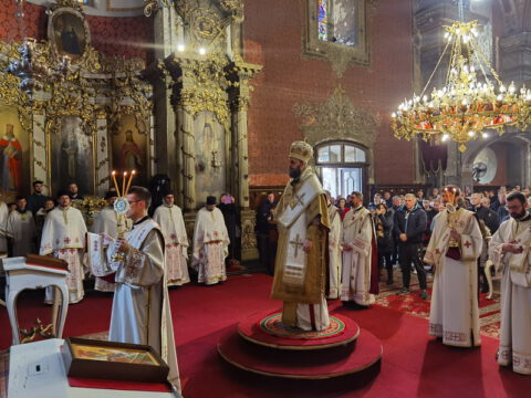 IMG_20230409_085341_resize