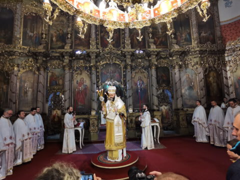 IMG_20230409_090743_resize