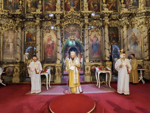 IMG_20230409_091008_resize