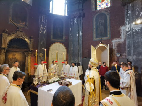 IMG_20230409_091259_resize