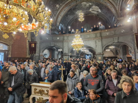 IMG_20230409_092949_resize