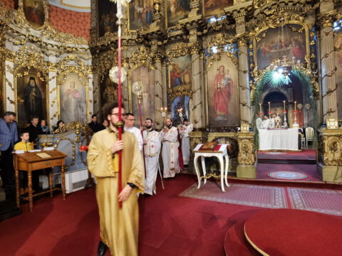 IMG_20230409_100750_resize