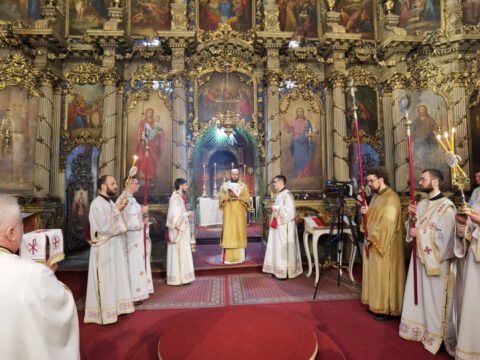 IMG_20230409_100838_resize