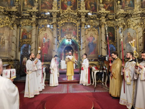 IMG_20230409_100844_resize