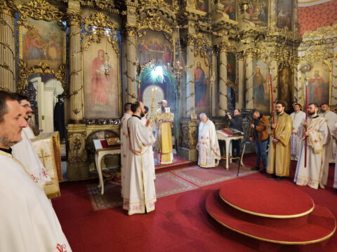 IMG_20230409_100949_resize