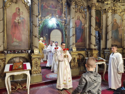 IMG_20230409_104846_resize