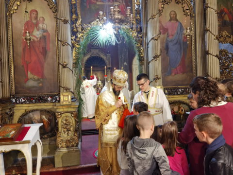 IMG_20230409_104924_resize