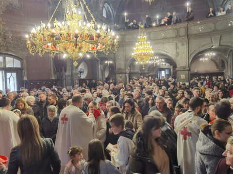 IMG_20230409_105044_resize