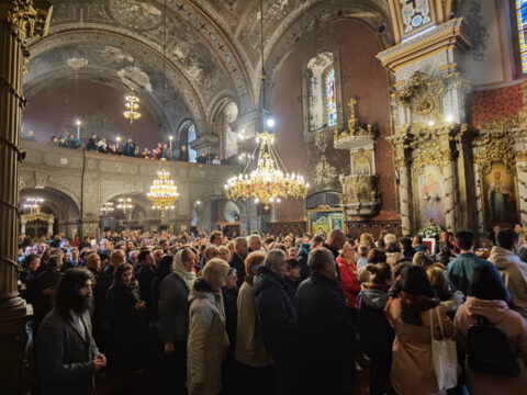 IMG_20230409_105221_resize