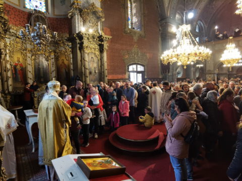 IMG_20230409_105507_resize