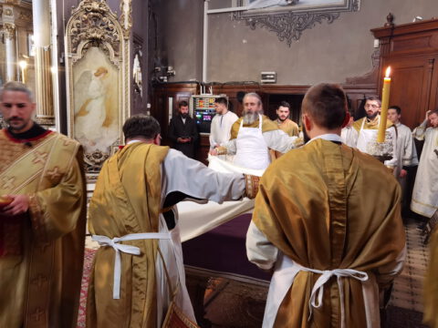 IMG_20230413_101134_resize