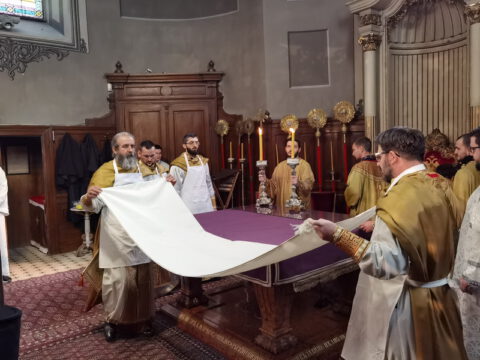 IMG_20230413_101141_resize