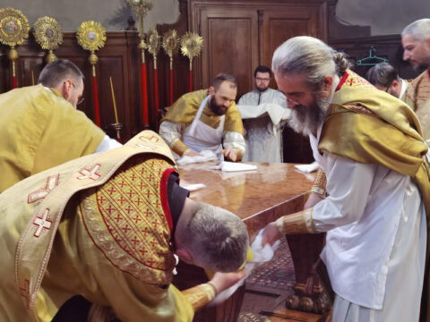 IMG_20230413_101711_resize