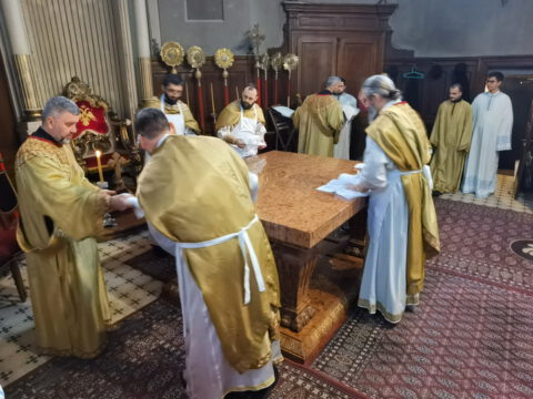 IMG_20230413_101738_resize