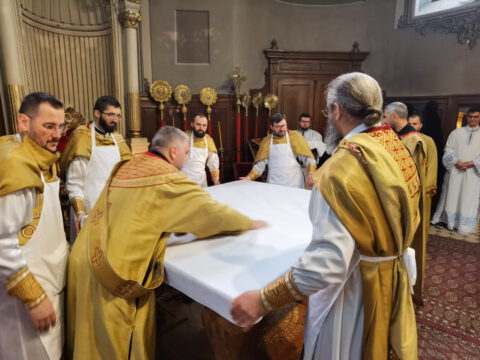 IMG_20230413_101845_resize