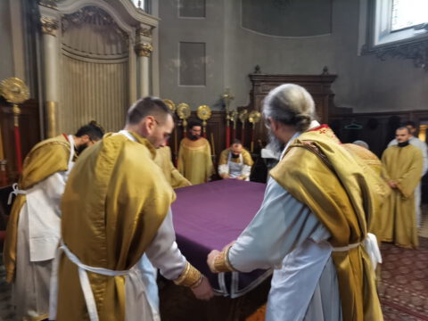 IMG_20230413_101924_resize