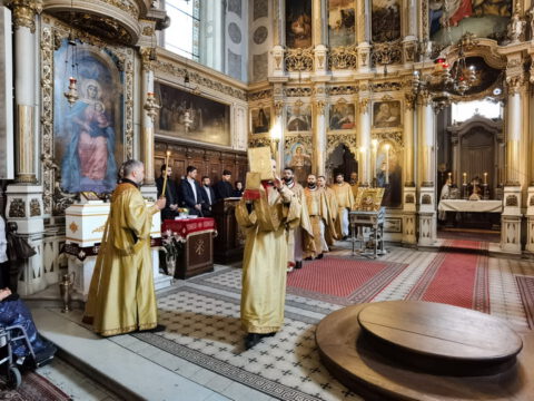 IMG_20230413_102246_resize