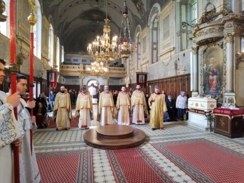 IMG_20230413_102325_resize