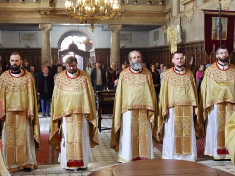 IMG_20230413_102337_resize