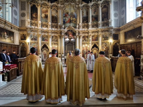 IMG_20230413_102353_resize