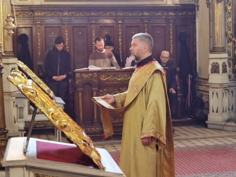 IMG_20230413_103436_resize