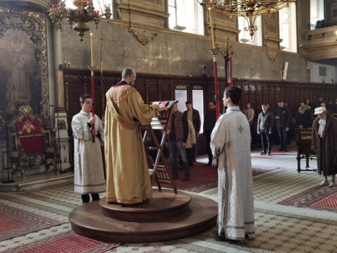 IMG_20230413_104402_resize