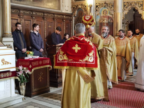 IMG_20230413_110950_resize